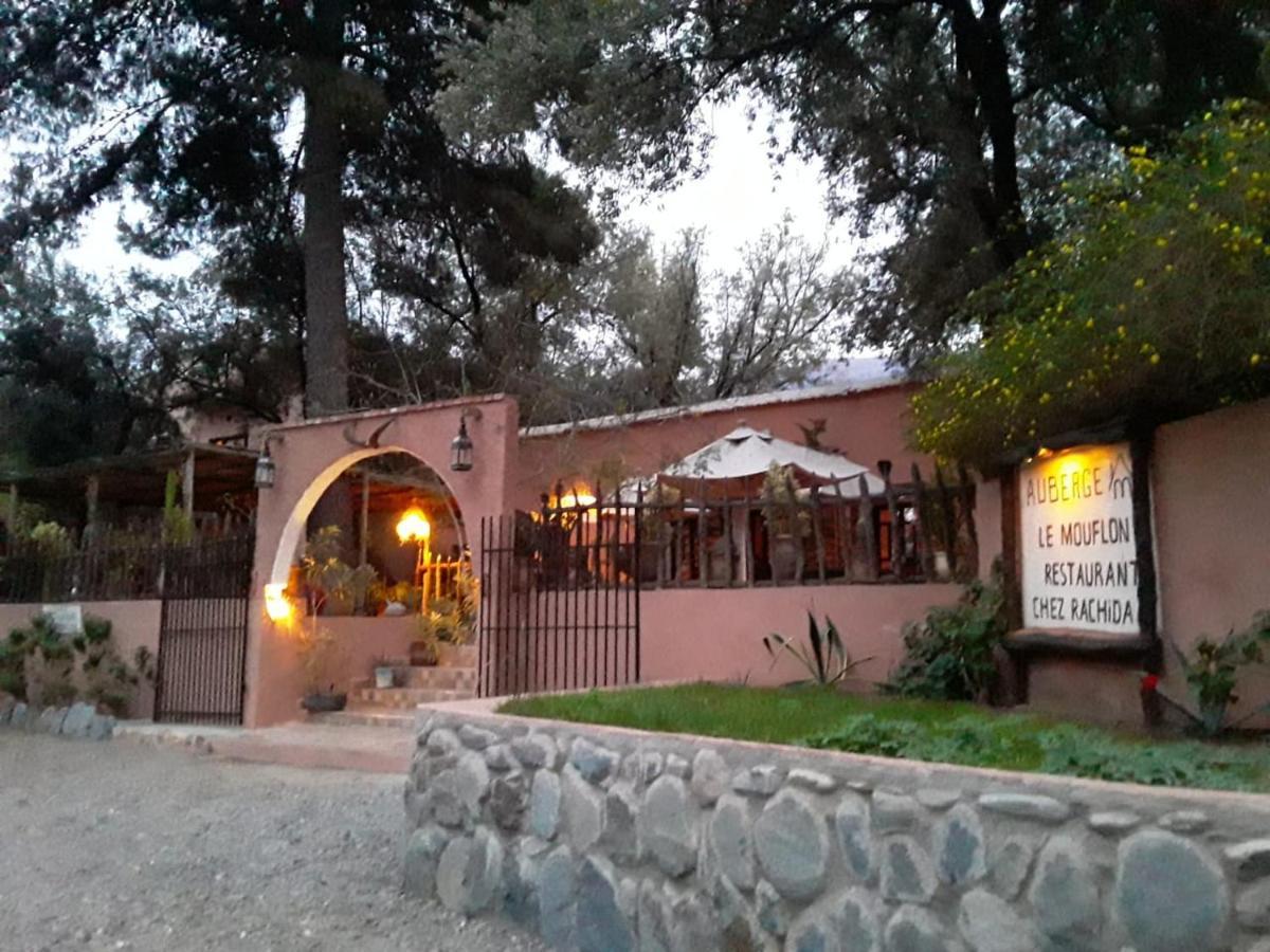 Auberge Le Mouflon Ouirgane Kültér fotó