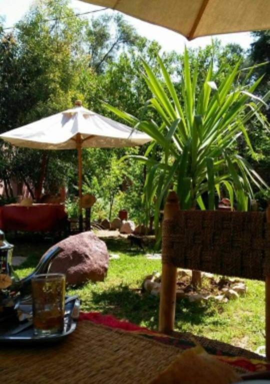 Auberge Le Mouflon Ouirgane Kültér fotó